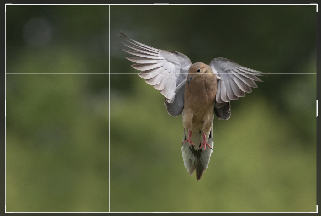Photography rule of thirds